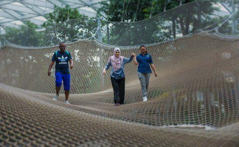 commercial image of playground at Skynet changi airport, jewel by tuckys