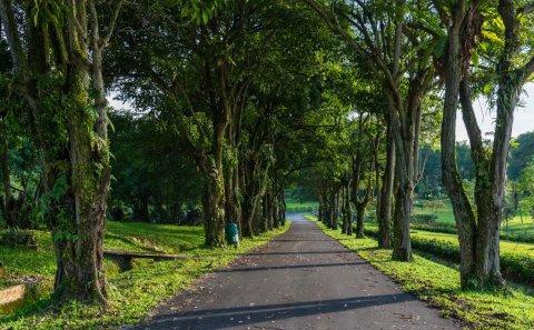 landscape architecture photography by professional commercial photographer for Singapore nature park — landscape architecture photography singapore