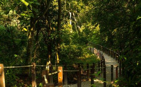 landscape architecture photography by professional commercial photographer for Singapore nature park — landscape architecture photography singapore