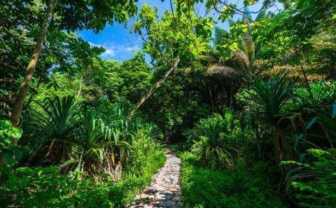 landscape architecture photography by professional commercial photographer for Singapore nature park — landscape architecture photography singapore