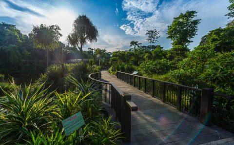 Professional landscape architecture photography documenting man made structures that brings the public — landscape architecture photography singapore