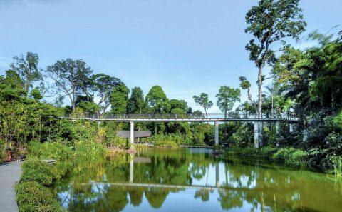 landscape architecture photographer for nature park in singapore, by tuckys