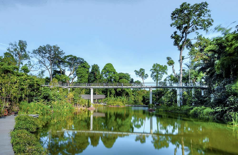 landscape architecture photographer for nature park in singapore, by tuckys