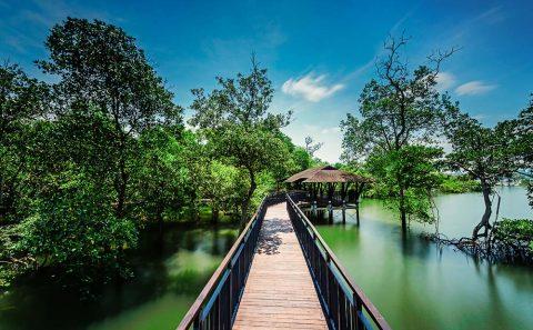 Singapore landscape architecture photographer at sungei buloh boardwalk and shelter — landscape architecture photography singapore