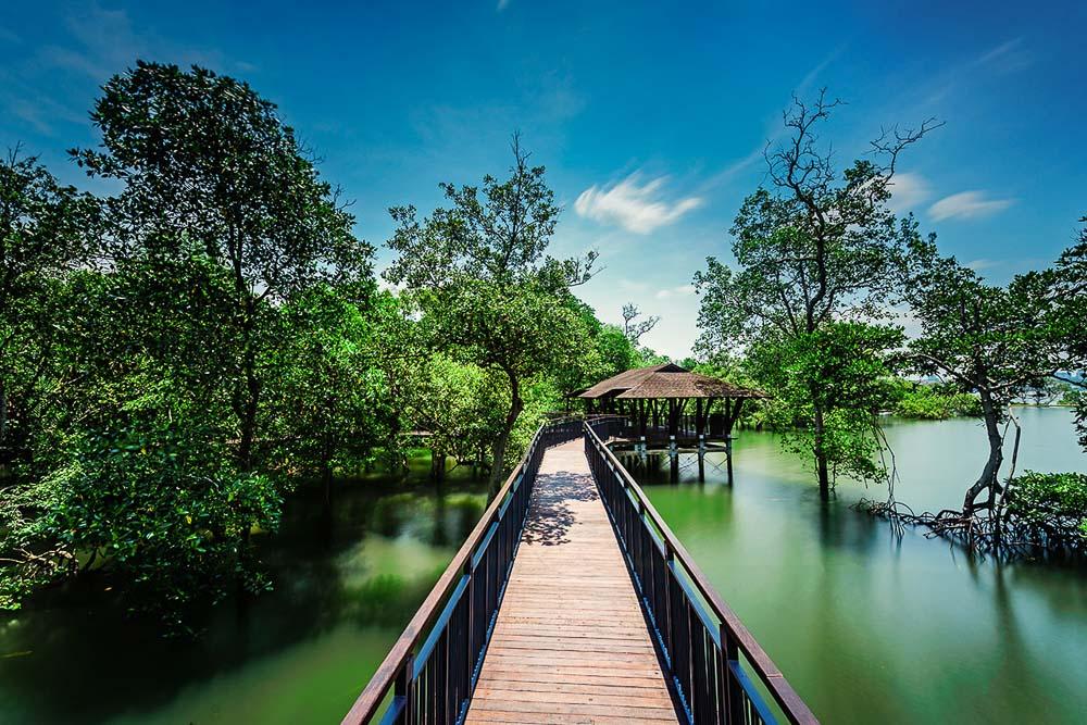 Singapore landscape architecture photographer at sungei buloh boardwalk and shelter, by tuckys