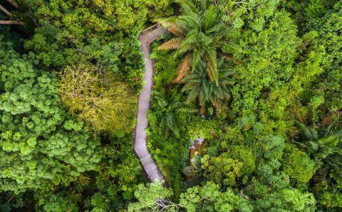 nature landscape drone photographer by Tuckys