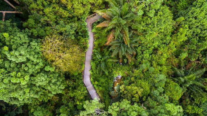 nature landscape drone photographer by Tuckys