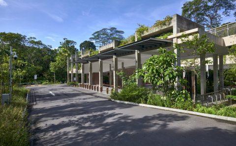 Commercial photography by professional photographer for the designed and buildup of Singapore's rifle range nature park — landscape architecture photography singapore