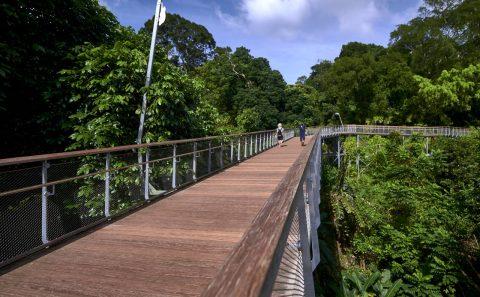 Professional landscape architecture photography of nature parks — landscape architecture photography singapore, nature park photographer singapore