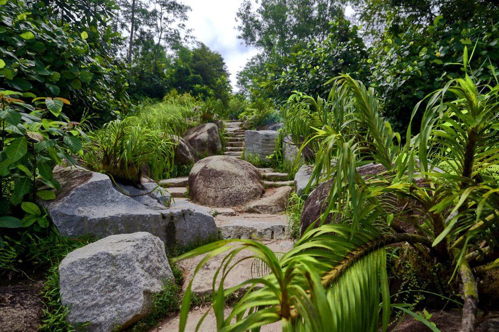Professional landscape architecture photography of nature parks, featuring the architectural and landscaping designs of the rifle range nature park in Singapore by commercial photographer