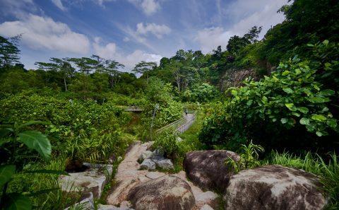 Professional landscape architecture photography of nature parks — landscape architecture photography singapore, nature park photographer singapore
