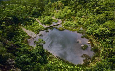 Commercial photography by professional photographer for the designed and buildup of Singapore's rifle range nature park — landscape architecture photography singapore
