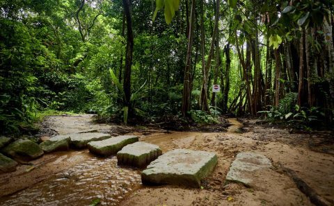 Professional landscape architecture photography of nature parks — landscape architecture photography singapore, nature park photographer singapore