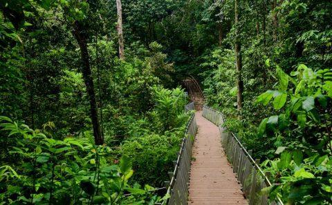 Professional landscape architecture photography of nature parks — landscape architecture photography singapore, nature park photographer singapore